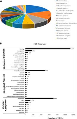 De novo sequencing, assembly, and characterization of Asparagus racemosus transcriptome and analysis of expression profile of genes involved in the flavonoid biosynthesis pathway